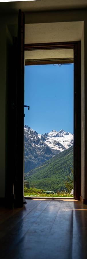 Nido Delle Aquile Apartment Cogne Exterior foto